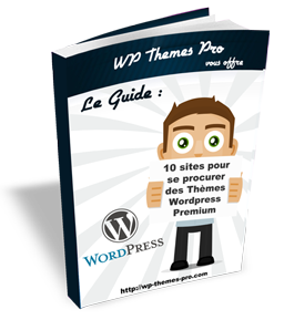 10 sites pour se procurer des thèmes Wordpress Premium